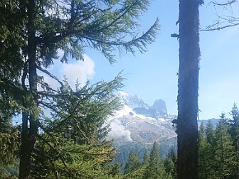 Trélechamps Le Haut