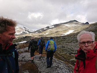 Bøverkinnhalsen