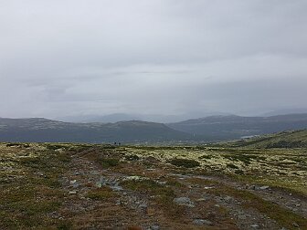 Hjerkinn