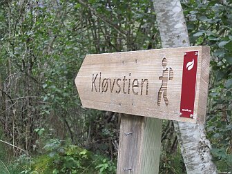 Soggemoen