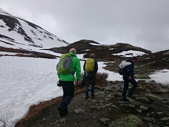 Reisjå